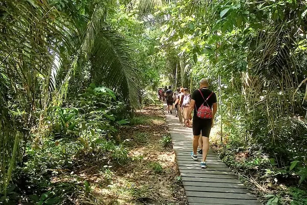 4 days Tambopata jungle tours