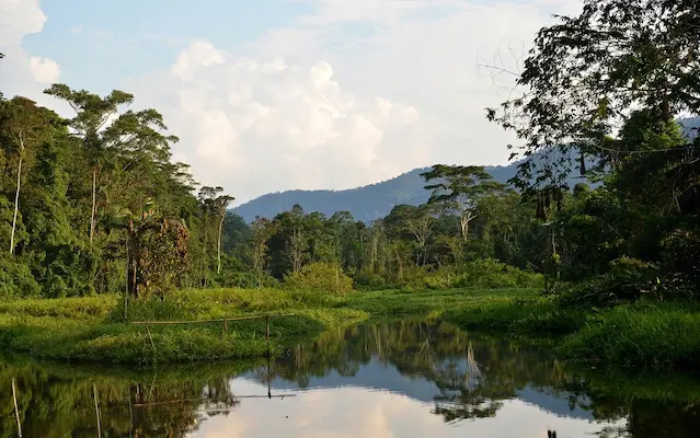 4 days Tambopata jungle tours