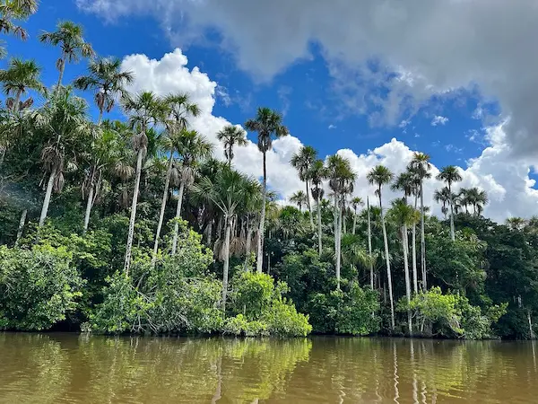 Tambopata jungle adventure tour 4 day