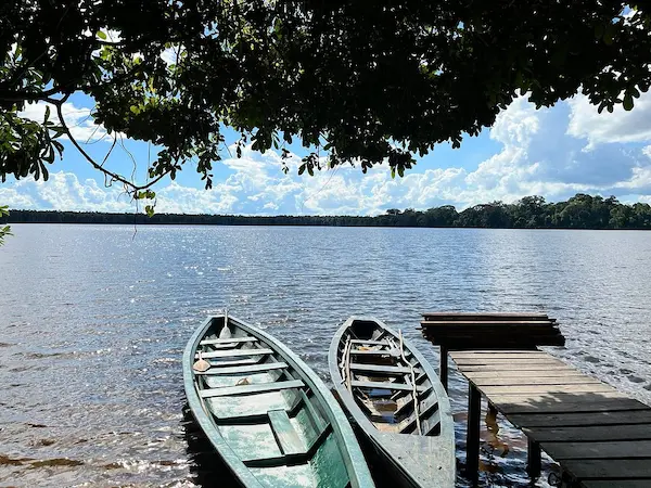 Tambopata jungle tour 4 days