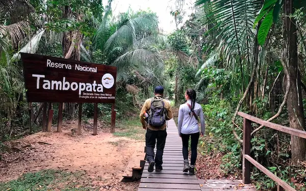 4 days Tambopata jungle tours