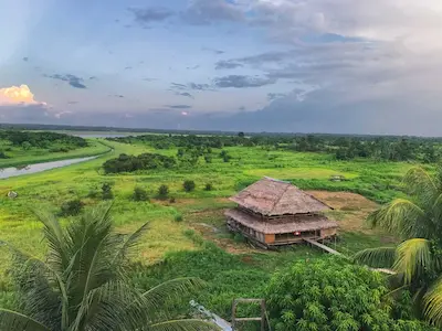 The Jungle around Iquitos, Loreto Department