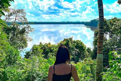 The Jungle around Puerto Maldonado, Madre de Dios
