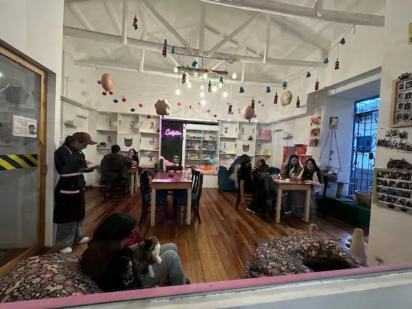 Catfetín Cat Café