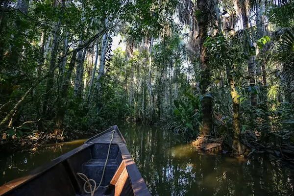 4 days Puerto Maldonado jungle tours Sunset