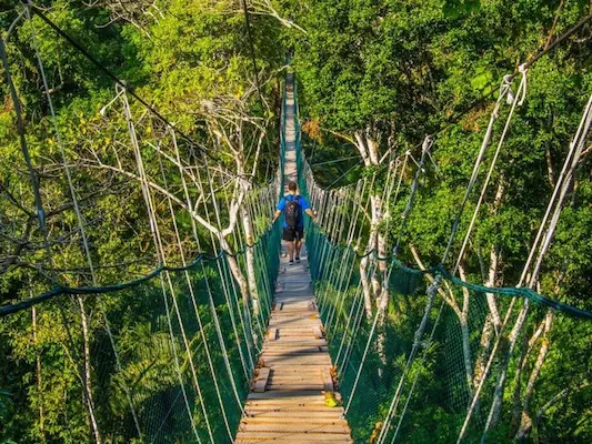 4 days Puerto Maldonado jungle tours Sunset