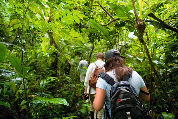 Sunrise Tour of Amazon Rainforest 4 days